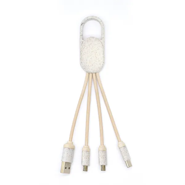 3 in 1 Charging Cable