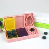 Mini Pill Box Case With Compartments