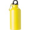 14Oz Aluminum Water Bottles With Carabiner