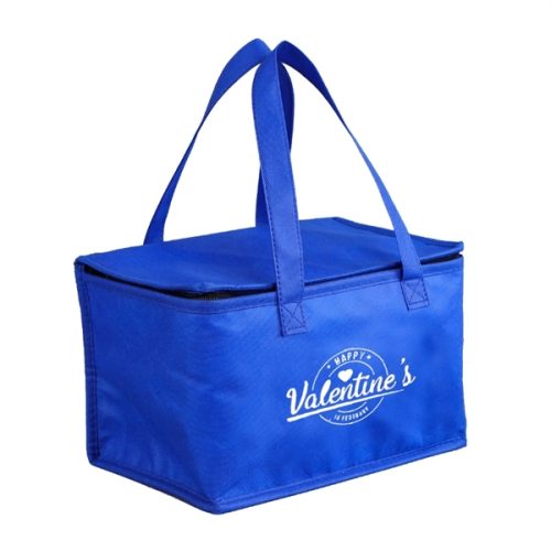 Insulated Cooler Lunch Bags