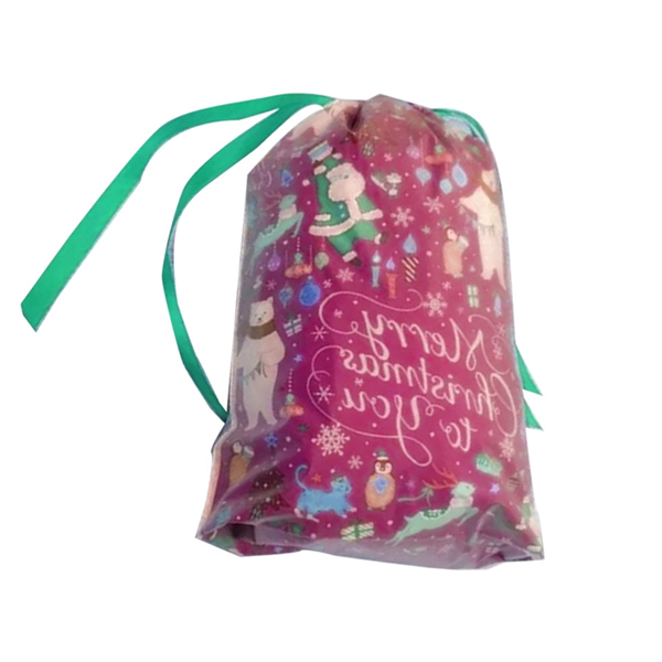 Holiday Christmas Drawstring Gift Bag