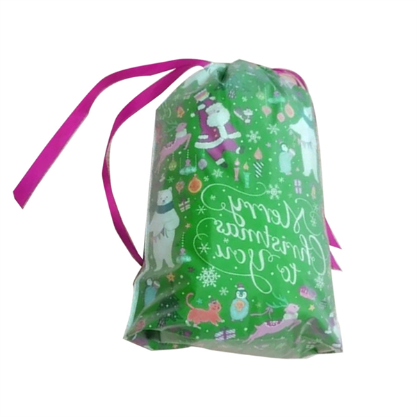 Holiday Christmas Drawstring Gift Bag